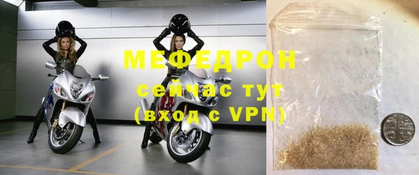 индика Нягань