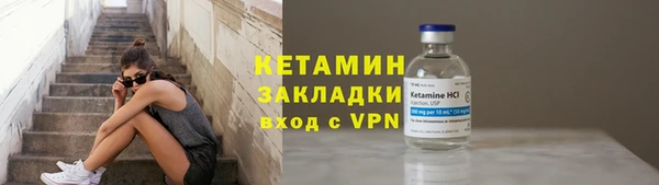 индика Нягань