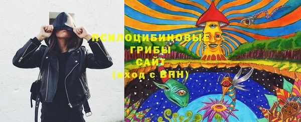 индика Нягань