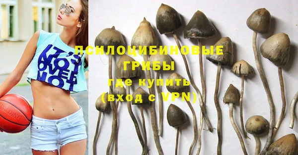 альфа пвп Няндома