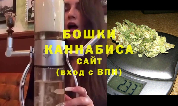индика Нягань
