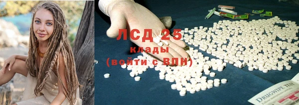 индика Нягань