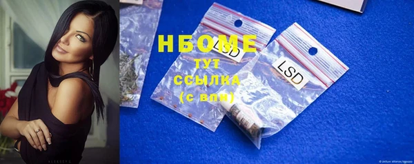 индика Нягань