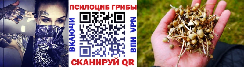 hydra ONION  Рассказово  Галлюциногенные грибы Magic Shrooms 