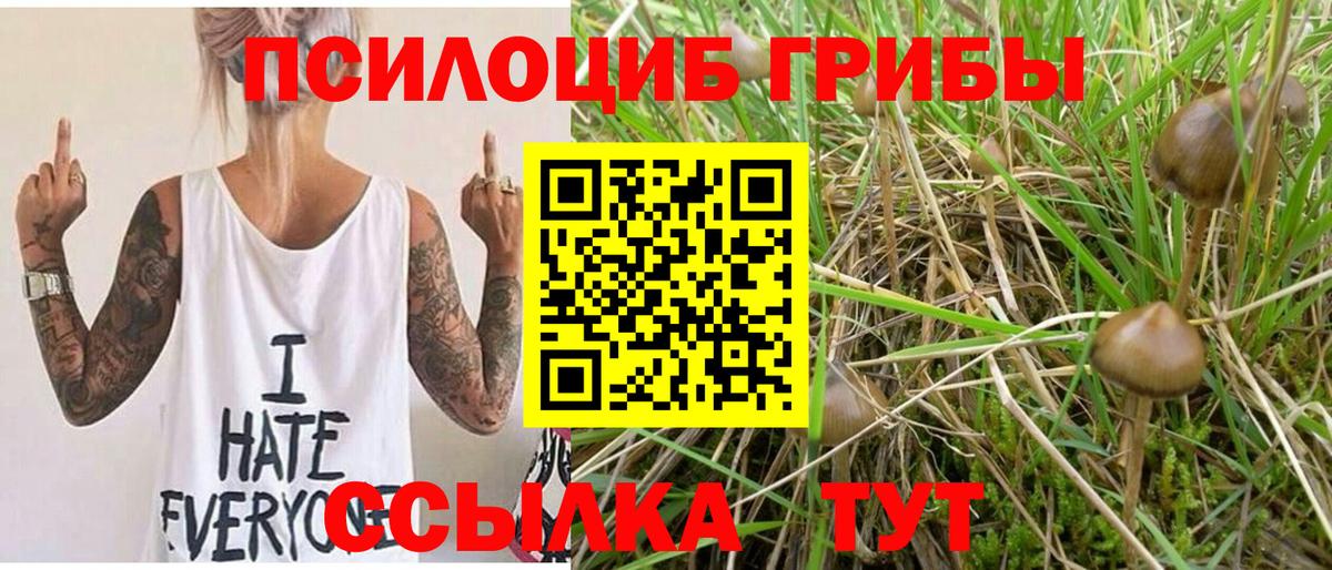 Галлюциногенные грибы прущие грибы  Рассказово 