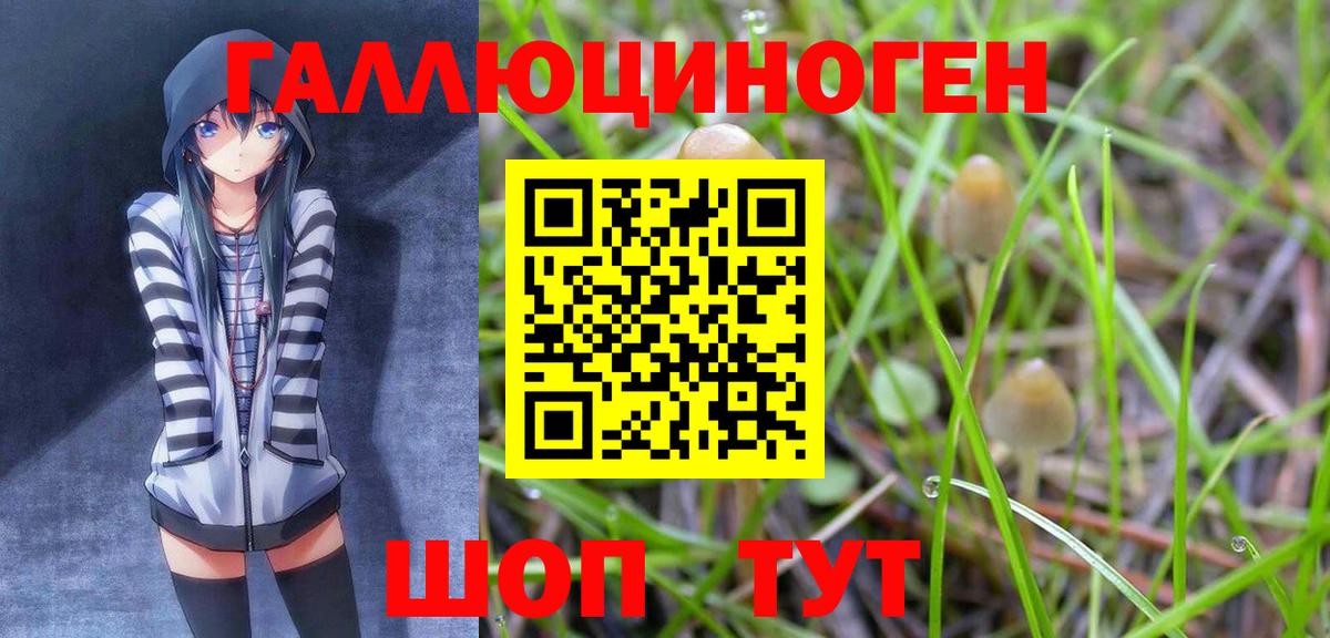 Рассказово  Галлюциногенные грибы Magic Shrooms  Галлюциногенные грибы Psilocybe  Вход с VPN 